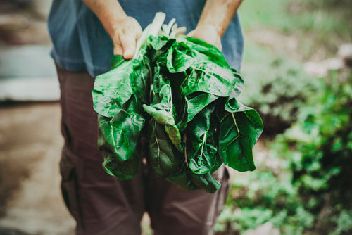 La France a de la marge dans la réduction des pesticides
