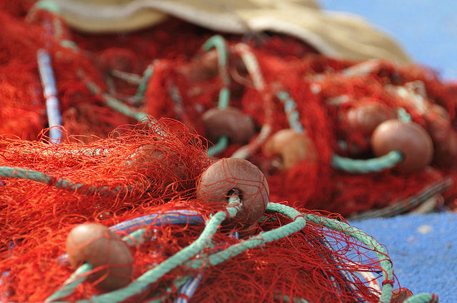 La pêche minotière, nouvelle menace pour les océans