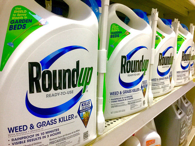 Monsanto accusé de corruption scientifique pour sauver le glyphosate