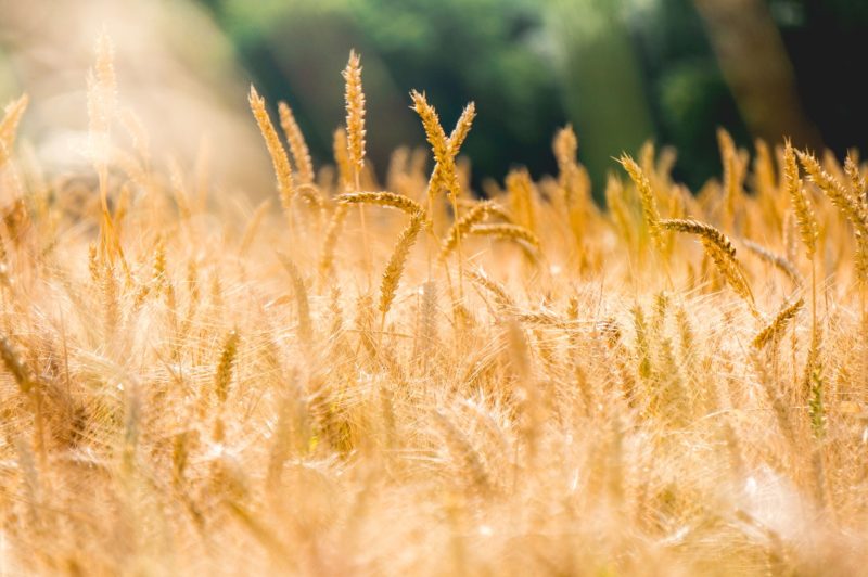 La dette écologique de la France s'alourdit