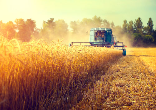 Les candidats s'opposent sur le rôle de l'Europe dans le secteur agricole
