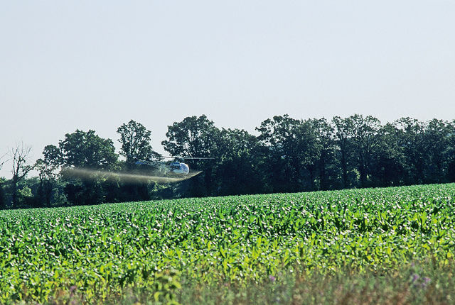 L'ONU appelle à renoncer à l’agriculture industrielle