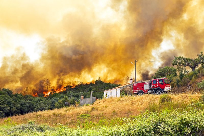 Le changement climatique risque d'augmenter les feux de forêt en Méditerranée