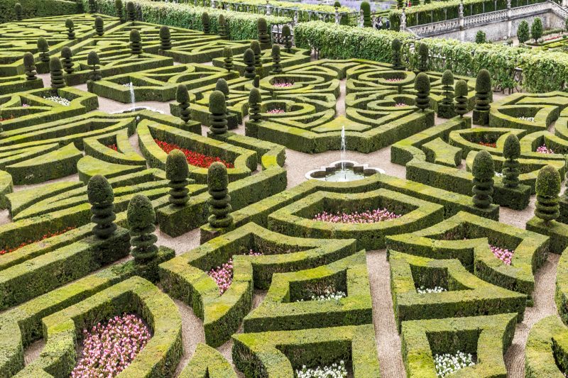 La France précurseure de la fin des pesticides dans les jardins