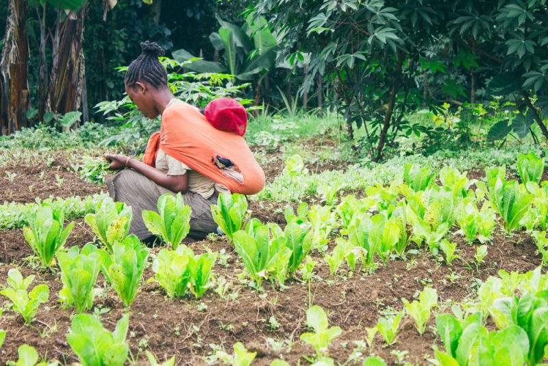Un quart des décès infantiles liés à l’environnement