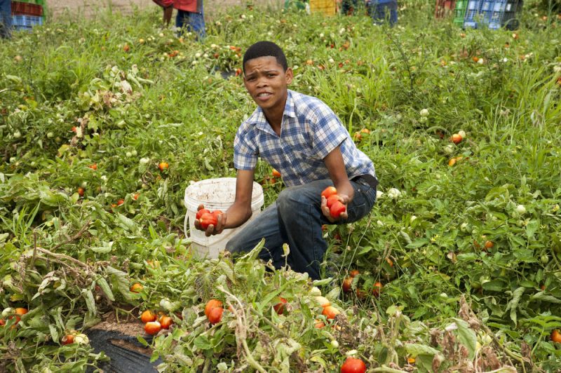 «30 millions de jeunes arrivent sur le marché du travail en Afrique tous les ans»