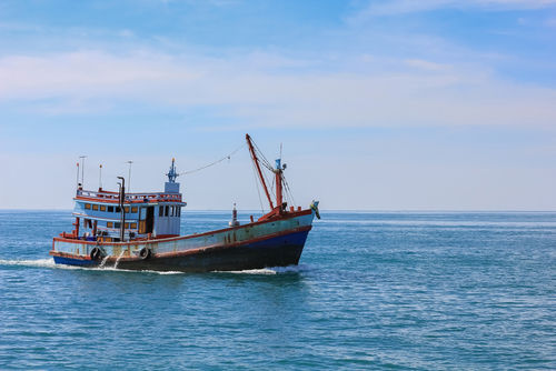 La pêche européenne se porte bien