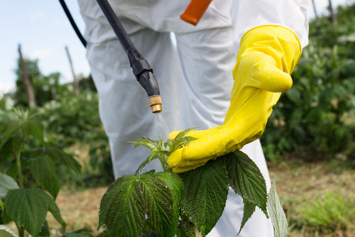 Paris joue la transparence sur les perturbateurs endocriniens