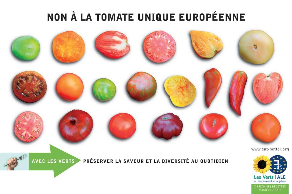 tomate unique