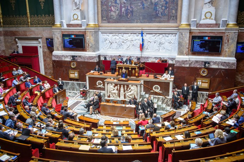 L’inscription de l’environnement dans la Constitution poursuit son chemin