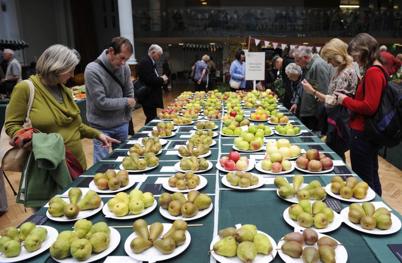 Big bang en perspective pour le système agroalimentaire britannique 