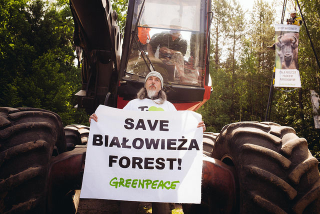 Les défenseurs de la forêt de Białowieża comparaissent devant la justice