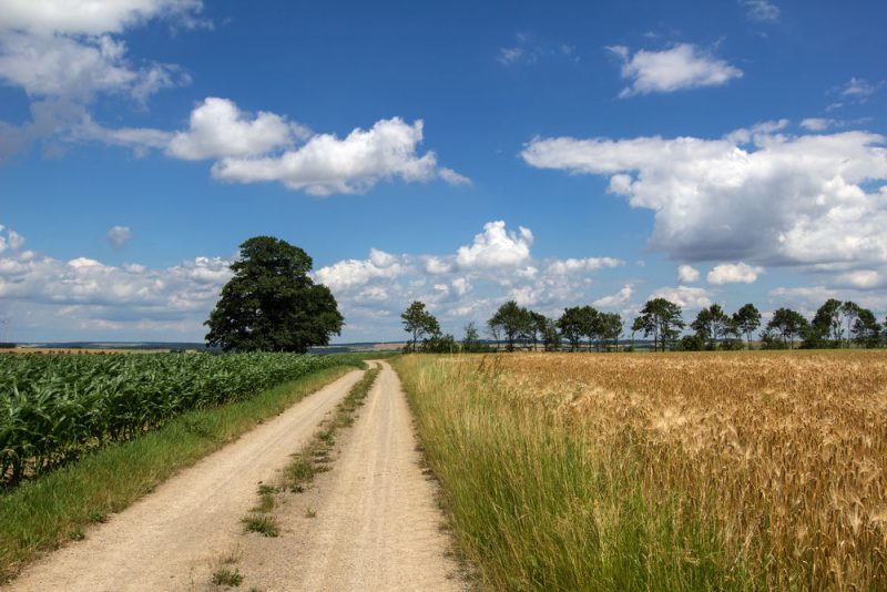L'Allemagne s'agace d'une PAC qui continue de détruire l'environnement