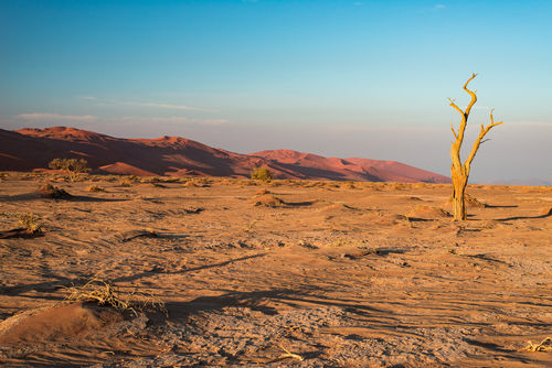 Sans taxation du carbone, point de salut climatique
