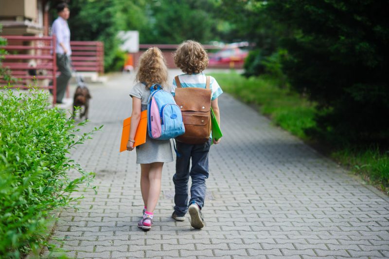 La disparition des sujets Éducation et Culture inquiète les eurodéputés.