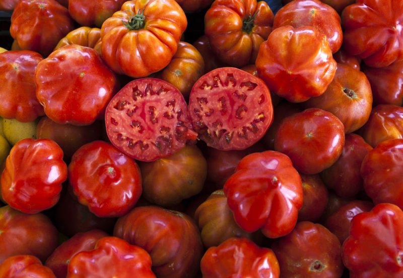 L’Italie avance seule sur l’étiquetage de l’origine de ses tomates