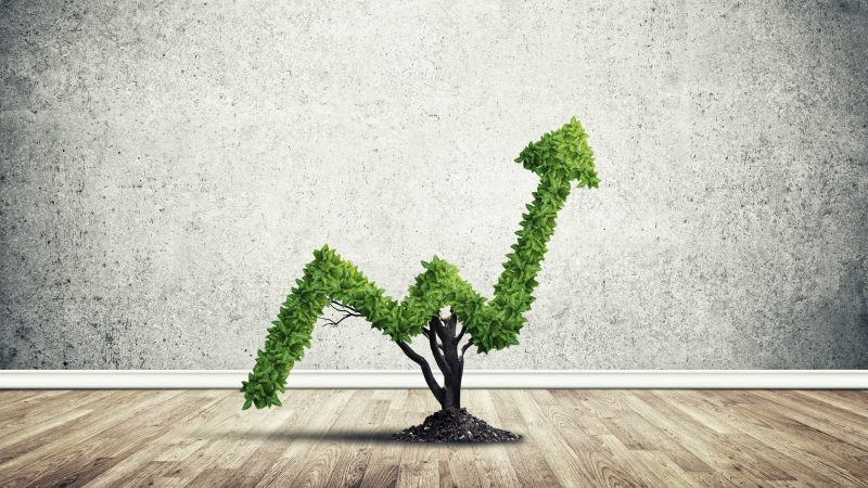 L'intégration de «clauses vertes» dans les accords commerciaux agite l'UE