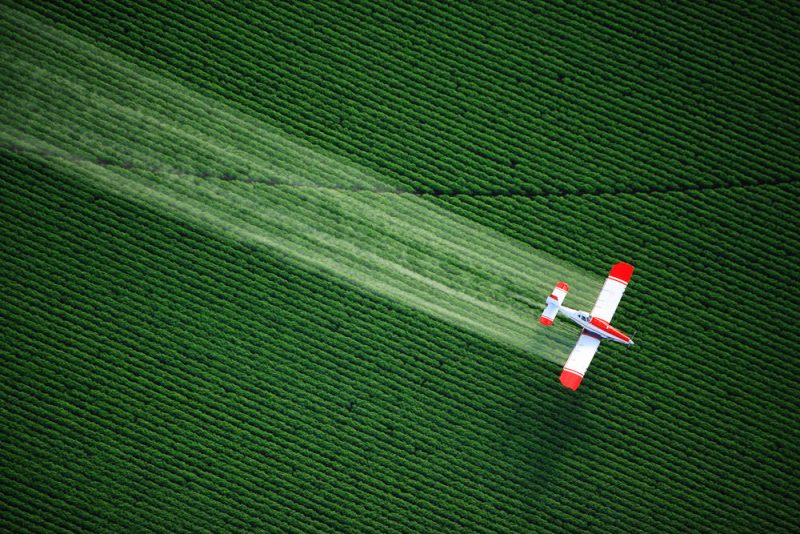 La sortie des pesticides manque de volonté politique