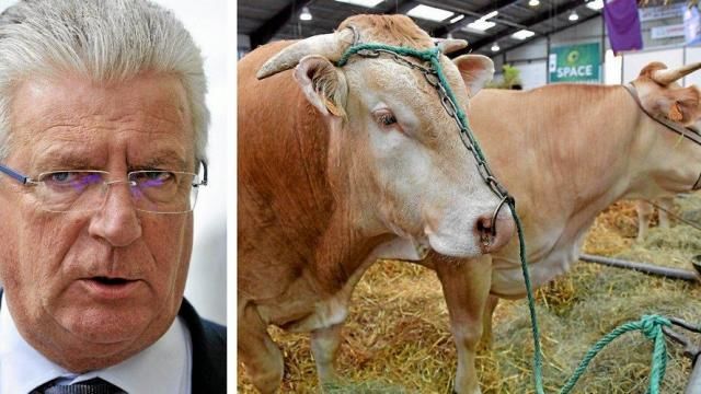 La filière bovine française dénonce la «menace» du CETA