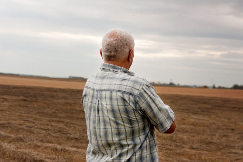 Le drame du suicide continue de frapper l'agriculture française