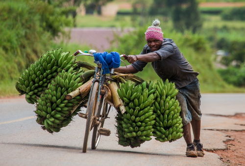 La ruralité, pierre angulaire de la croissance des pays en développement