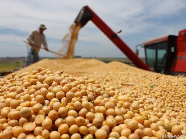L’industrie européenne contre-attaque face au biodiesel argentin