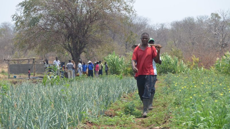 Russie et Mozambique échangent dette contre développement