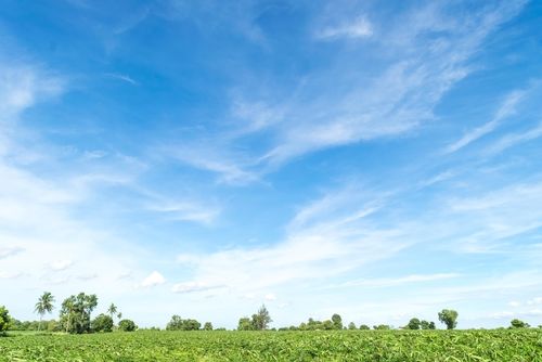 À la recherche du glyphosate dans l’air