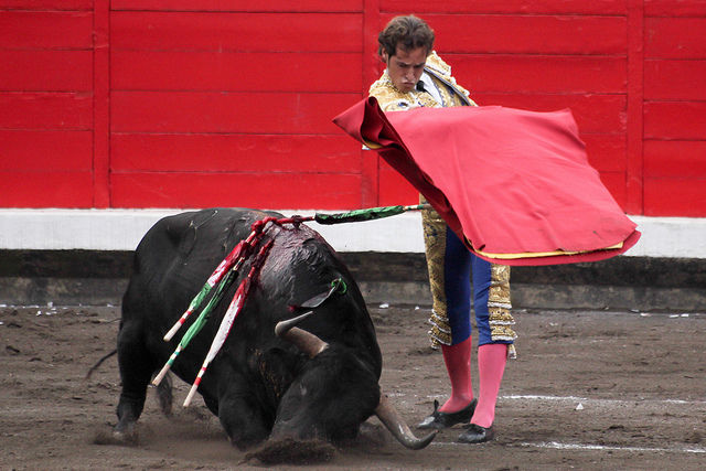 La SPA lance une guerre judiciaire contre la corrida et la chasse à courre