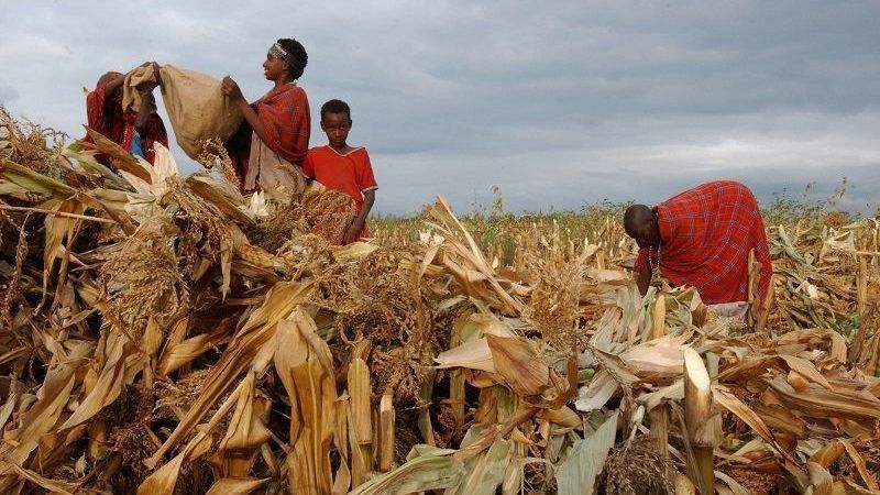 Les prêts bonifiés de la BEI tentent de développer l'économie africaine