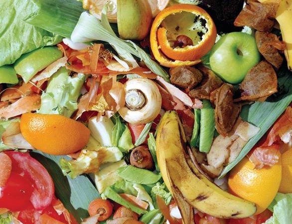 Les États membres bloquent mystérieusement la lutte contre le gaspillage alimentaire