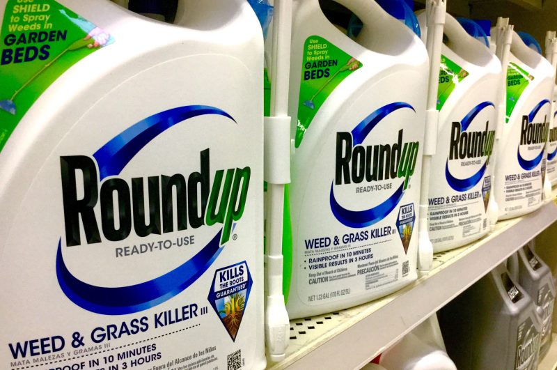 Glyphosate : le coût de l’abandon chiffré dans la viticulture