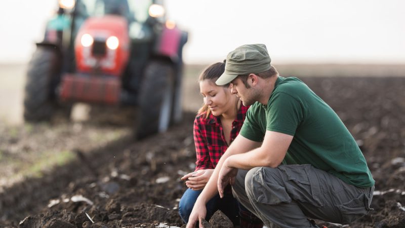 L’UE veut débloquer l’accès au crédit pour les jeunes agriculteurs