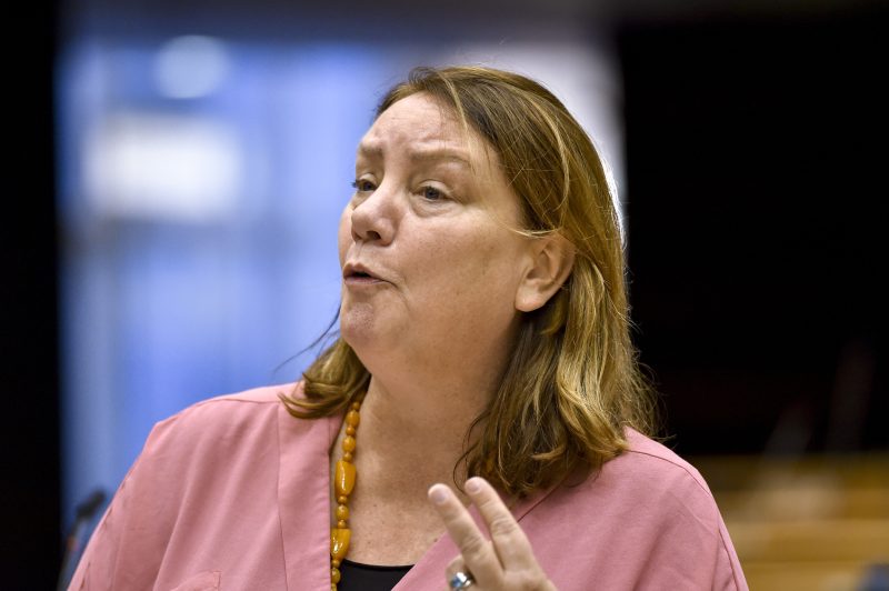 Le Parlement s’inquiète de l’application des règles sociales