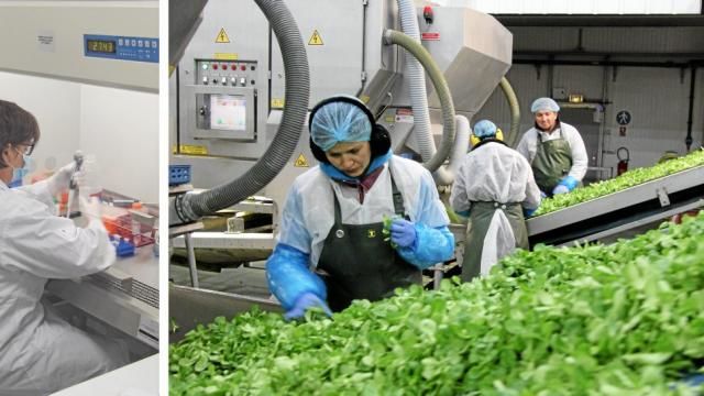 L'Europe fait pousser les entreprises en région