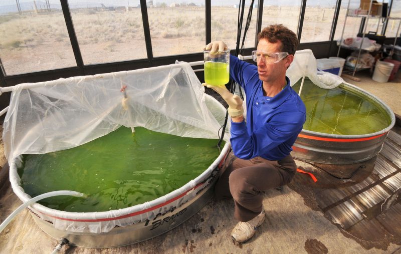 L'industrie dénonce des biocarburants avancés «pas encore viables»