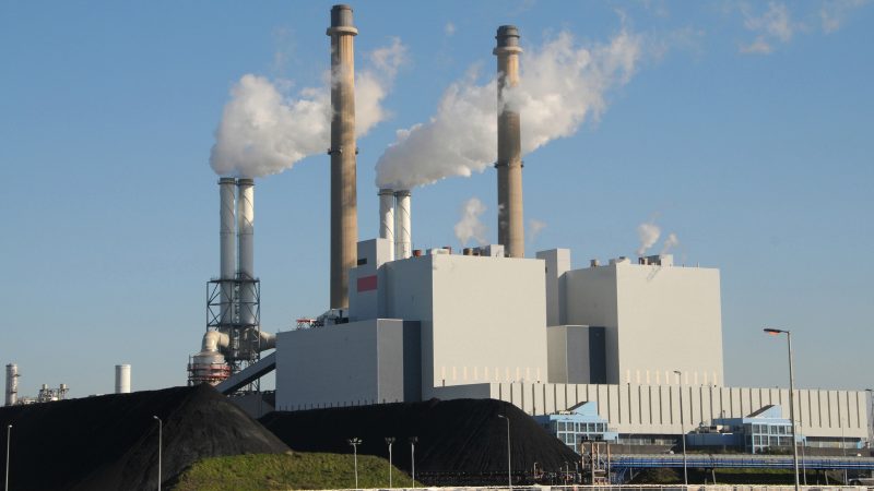 L'UE multiplie les garde-fous sur l'utilisation de la biomasse