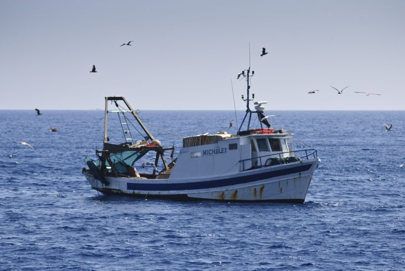 Le débat sur la pêche électrique a fait de l'ombre aux autres enjeux du secteur