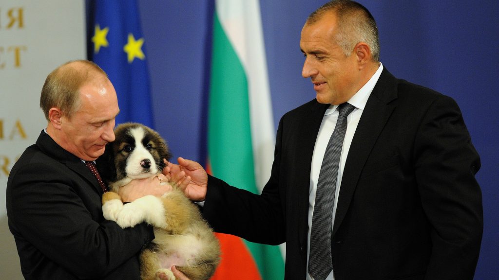 PutinBorissovdog