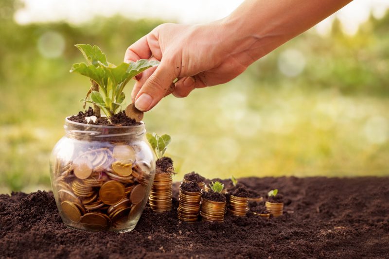 Le crowdfunding part à la campagne avec Miimosa, Agrilend et Blue Bees