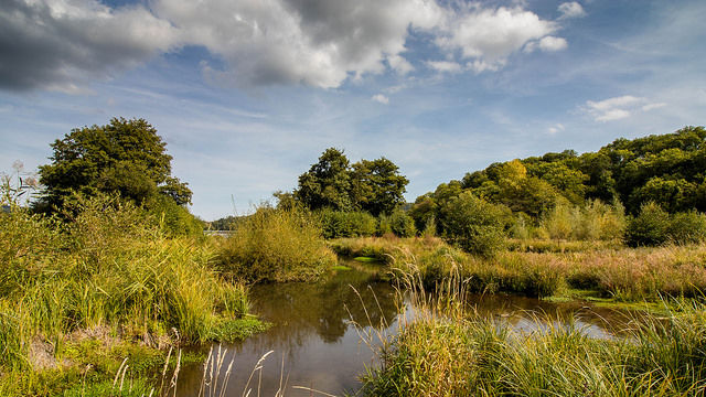 L’ONU recommande un retour à la nature pour la gestion de l'eau