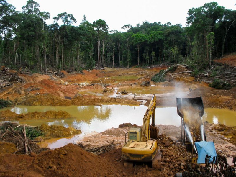 L’Europe tâtonne dans la lutte contre la déforestation importée