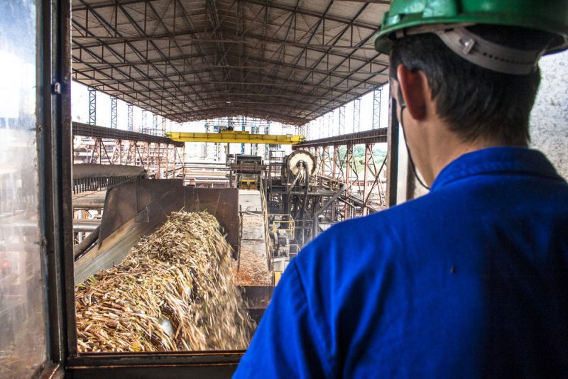 Le Brésil envisage d'étendre la culture de la canne à sucre en Amazonie