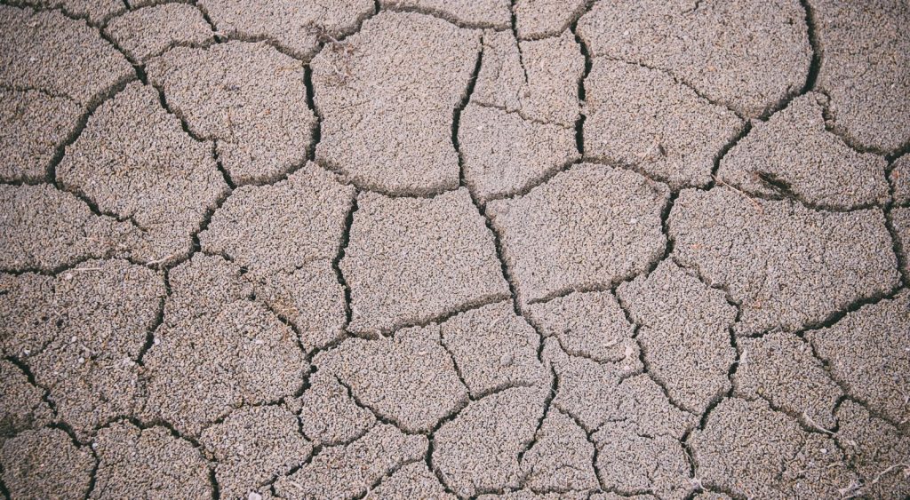 shutterstock_753071308