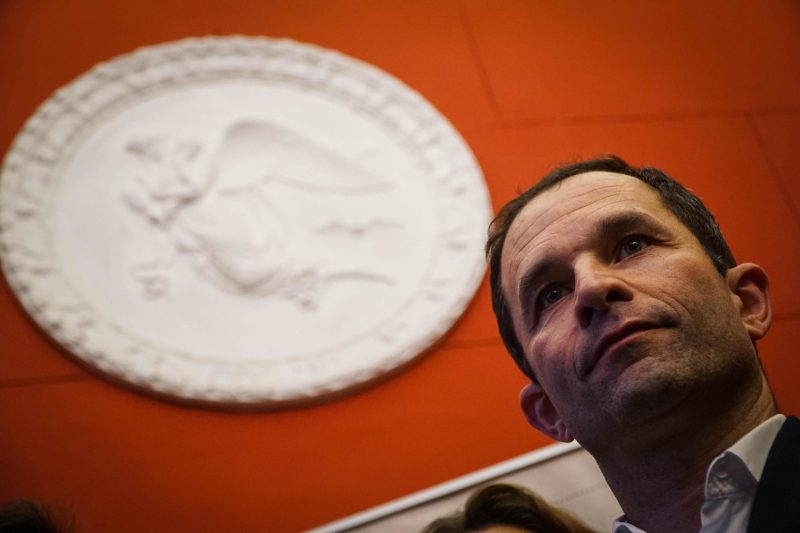 Benoît Hamon : « l’année des Européennes sera celle de notre éclosion »