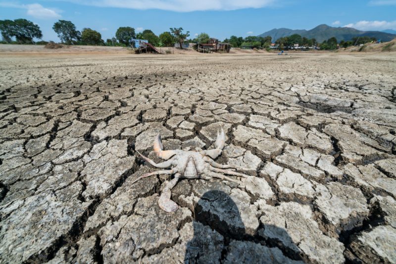 Un rapport du GIEC fuite à un moment politique crucial pour le climat