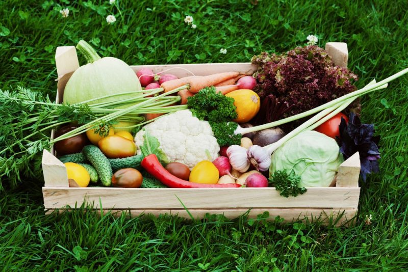 Vers une politique alimentaire commune?