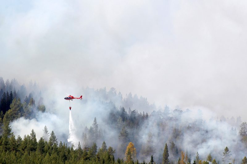 La Suède appelle l'Europe à l'aide pour lutter contre les feux de forêts