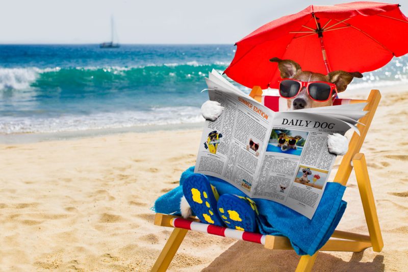 Notre sélection d'articles à relire pendant l'été