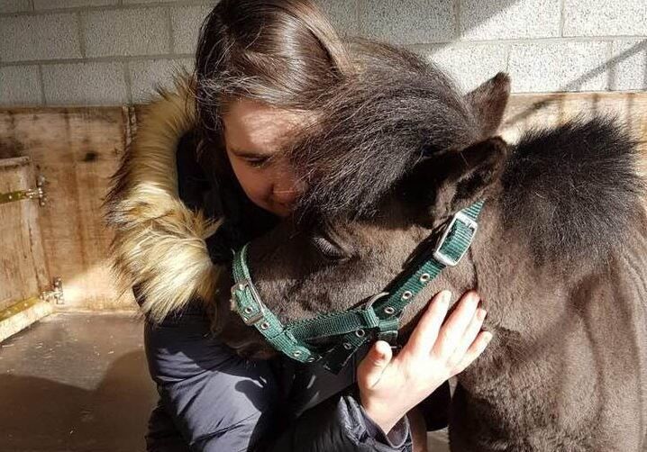Un petit cheval pour une grande mission au Parlement